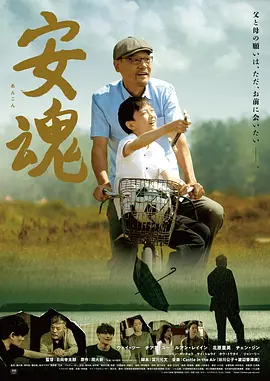 全网电视剧免费观看大全